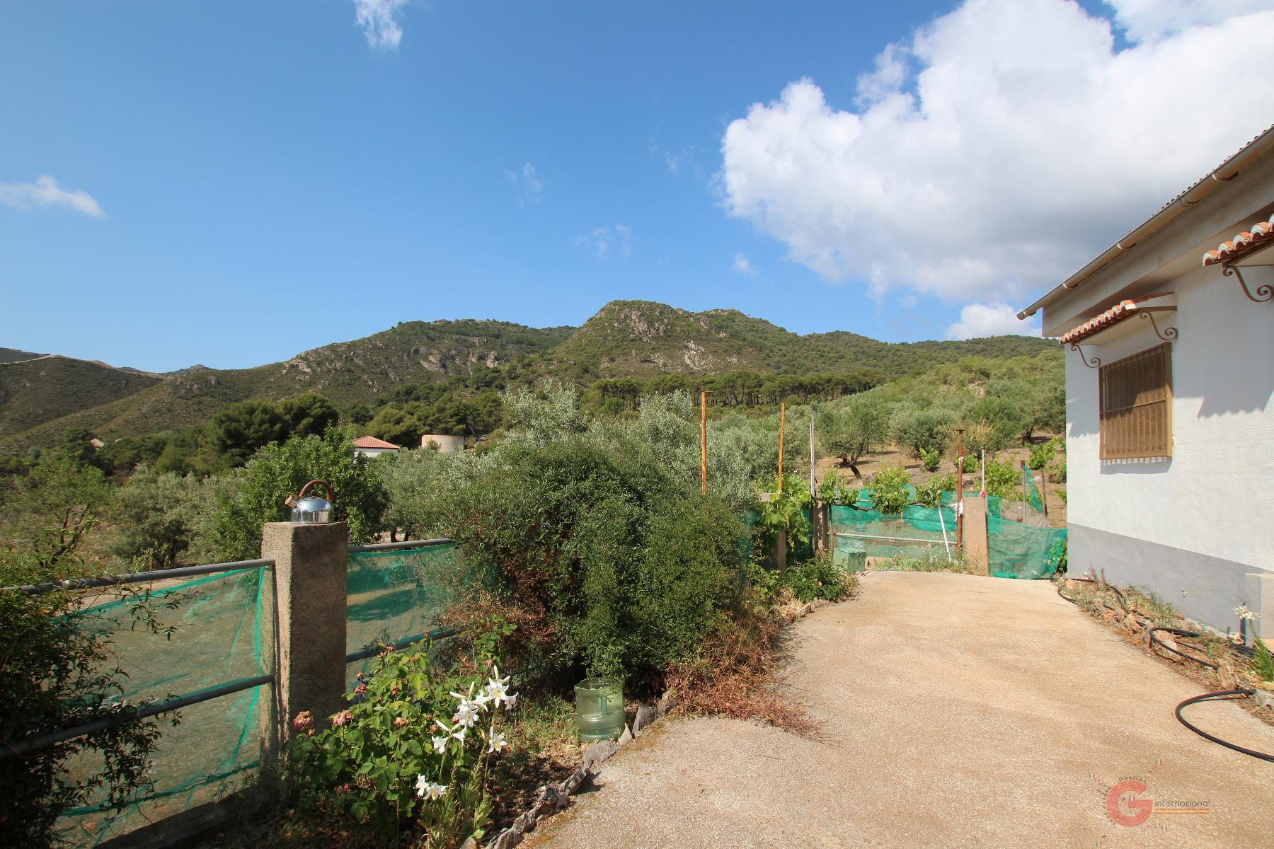 Venta de finca rústica en Guájar Alto