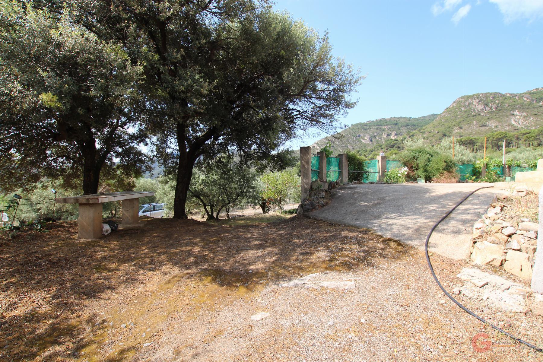 Venta de finca rústica en Guájar Alto
