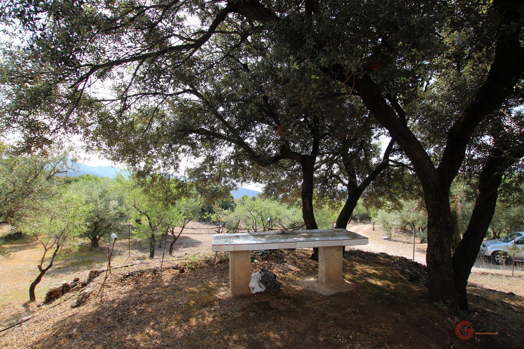 Venta de finca rústica en Guájar Alto
