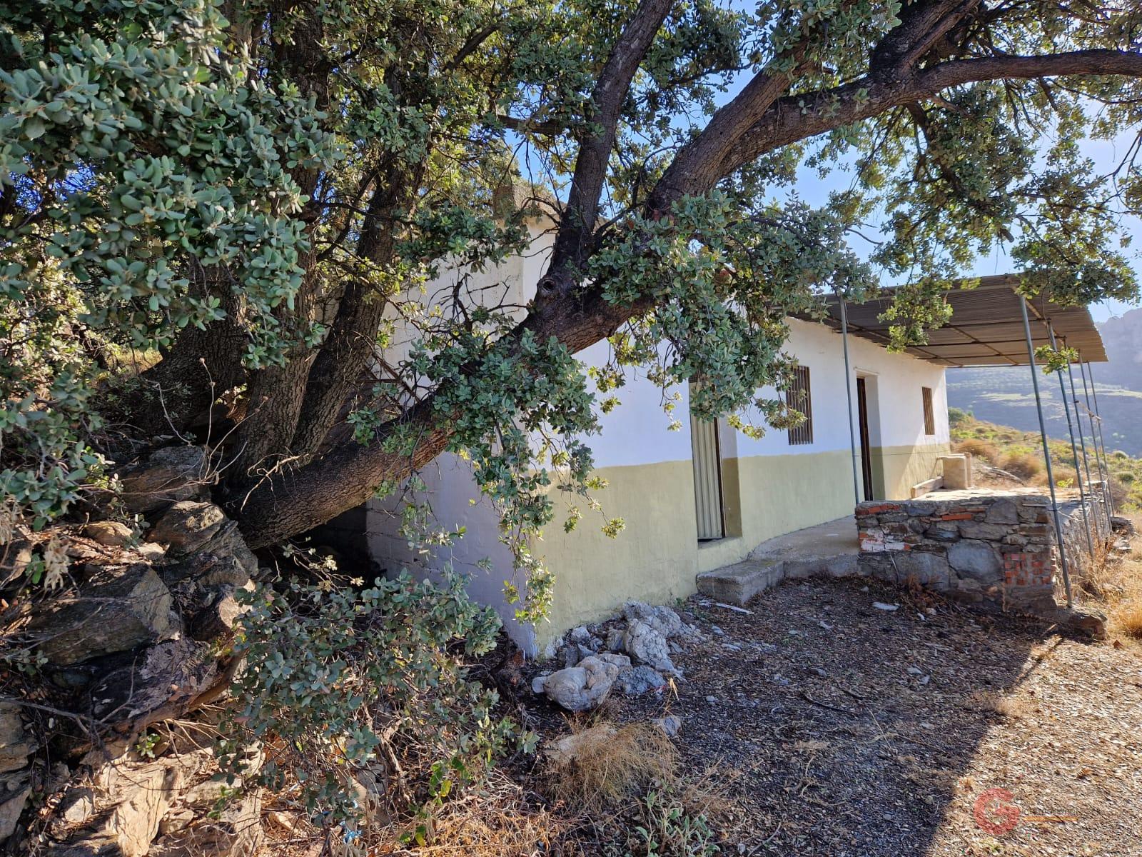 For sale of rural property in Molvízar