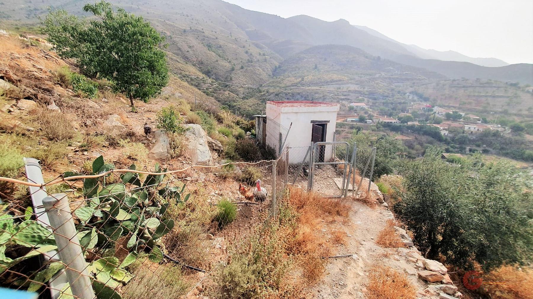 Vendita di proprietà rurale in Vélez de Benaudalla