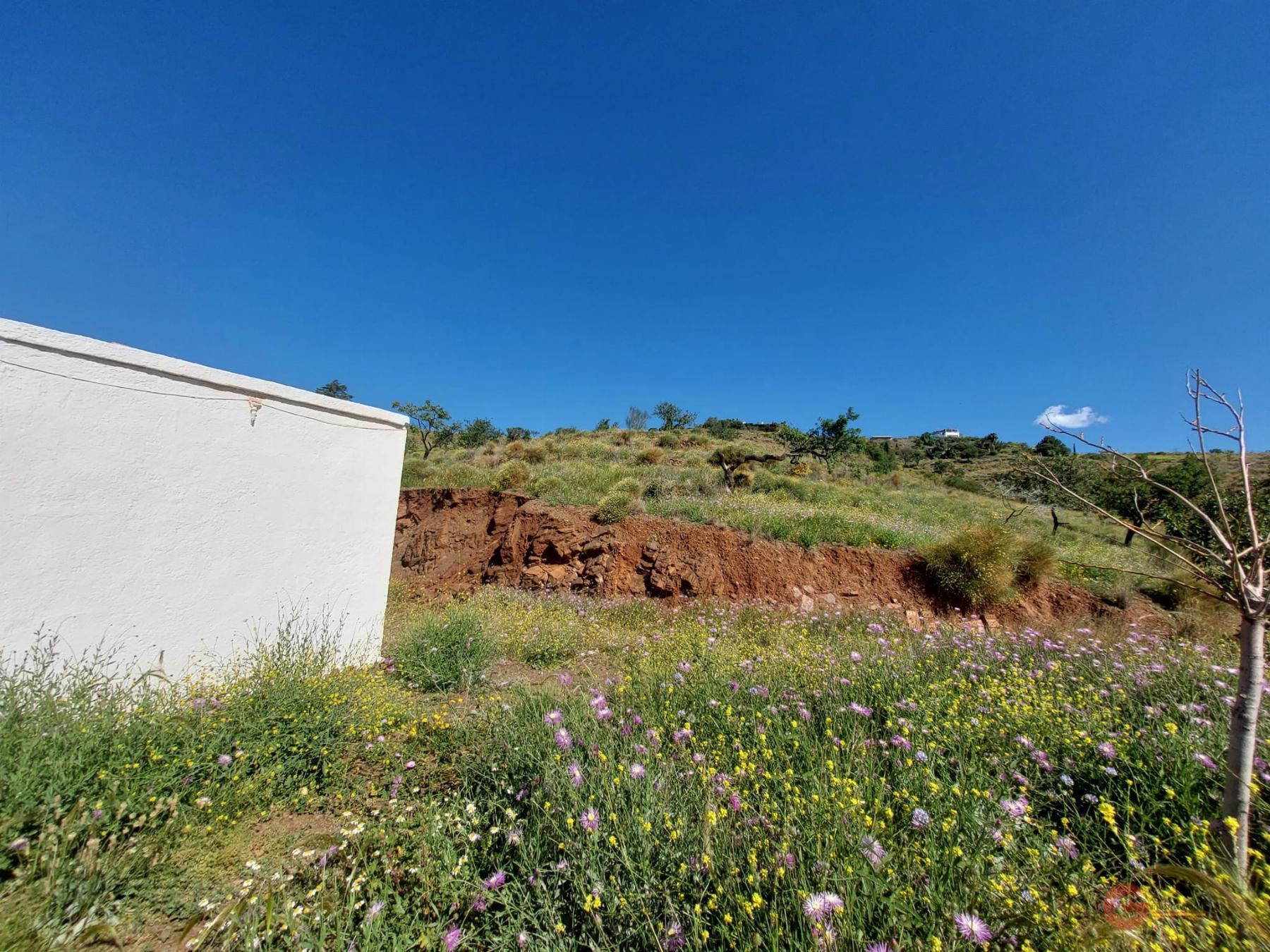 Venta de finca rústica en Salobreña