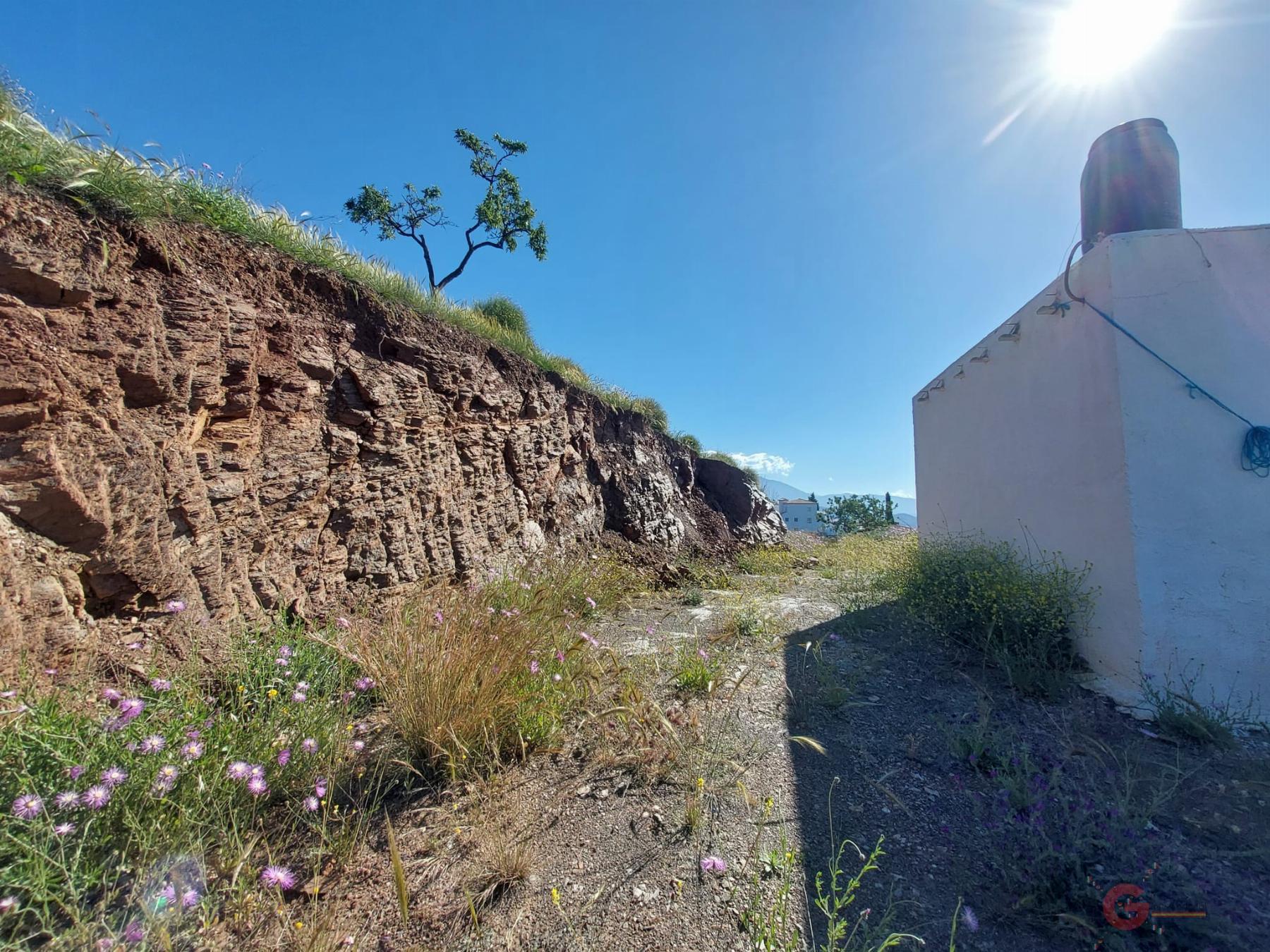 Venta de finca rústica en Salobreña