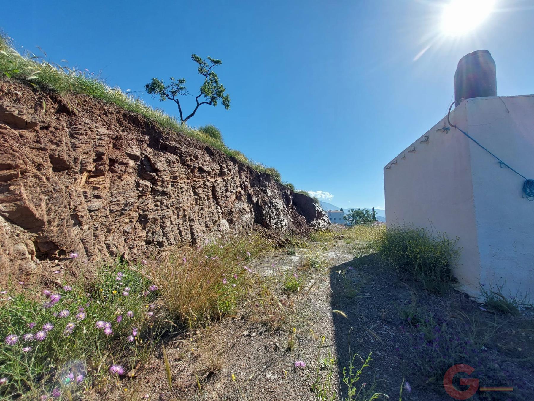 Venta de finca rústica en Salobreña Venta de finca rústica en Salobreña