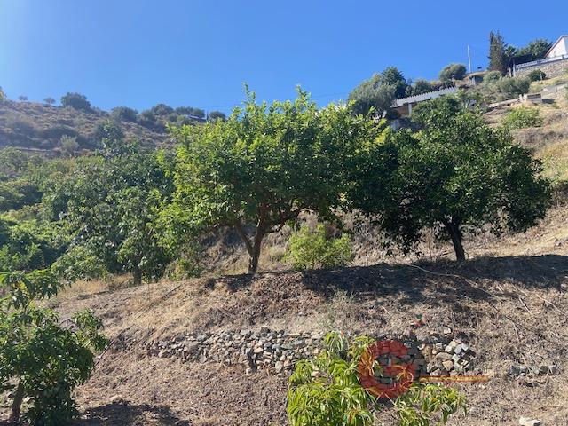 Venta de terreno en La Herradura