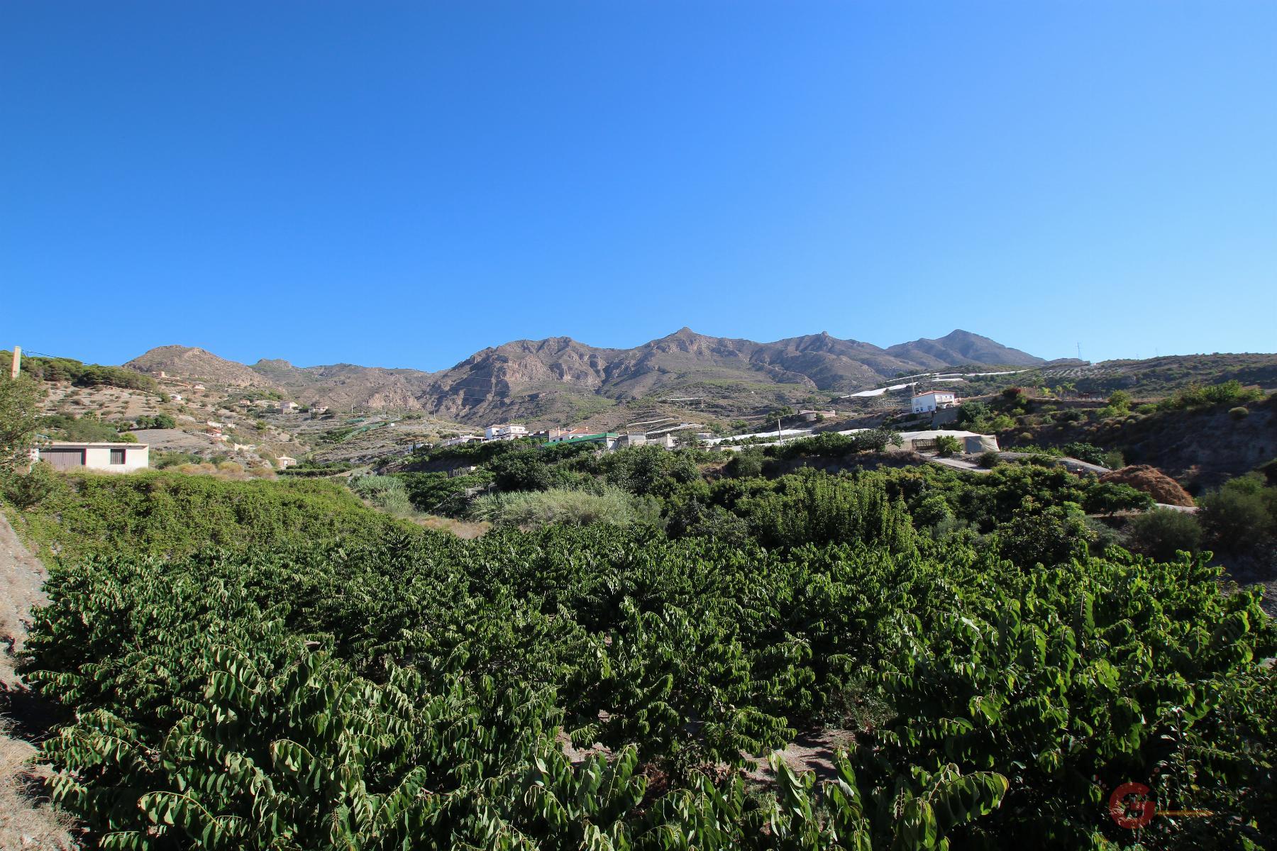 Venta de finca rústica en Molvízar