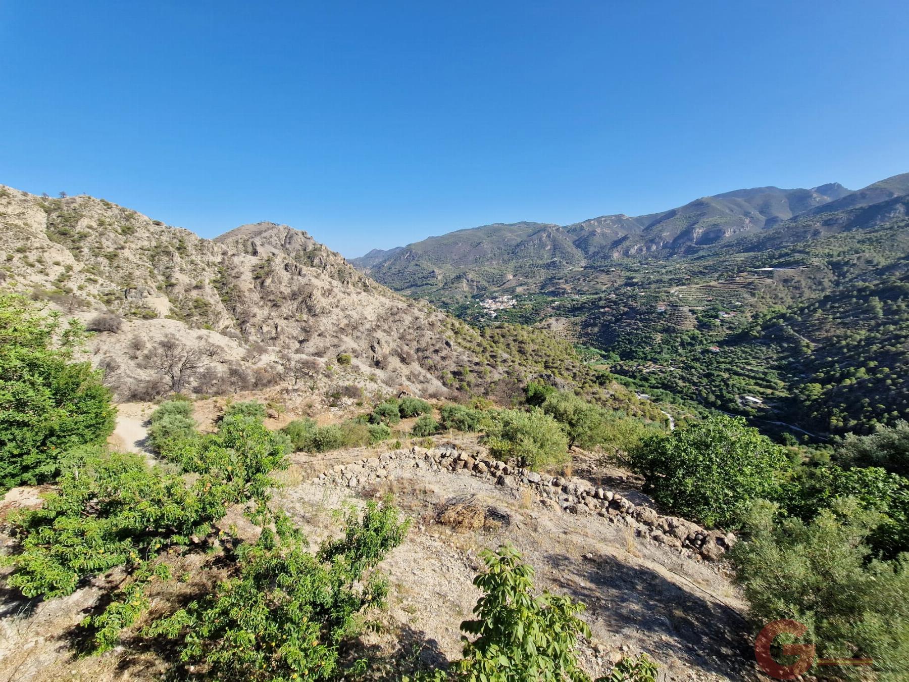 Venta de finca rústica en Guájar Alto Venta de finca rústica en Guájar Alto