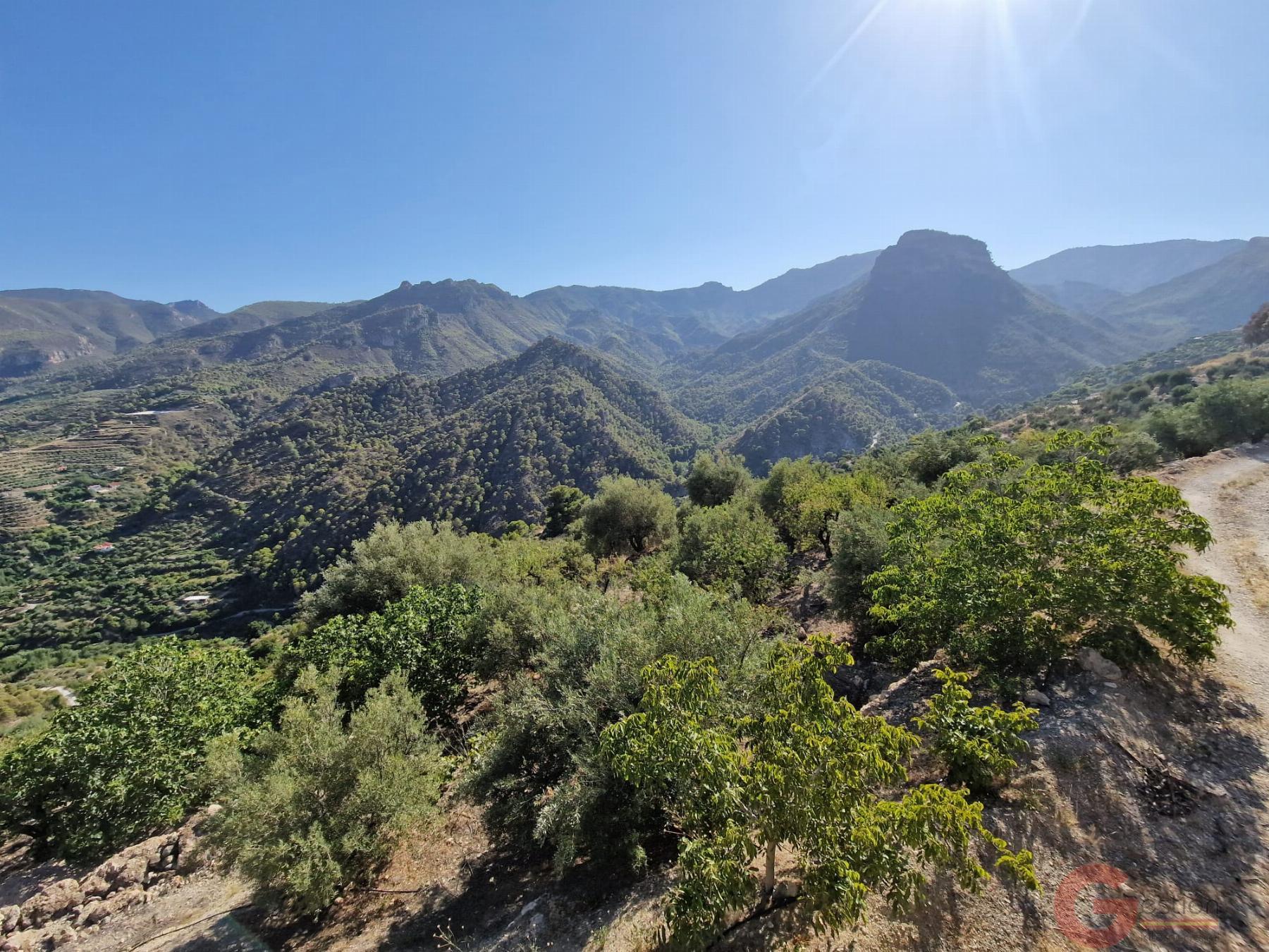 Venta de finca rústica en Guájar Alto Venta de finca rústica en Guájar Alto