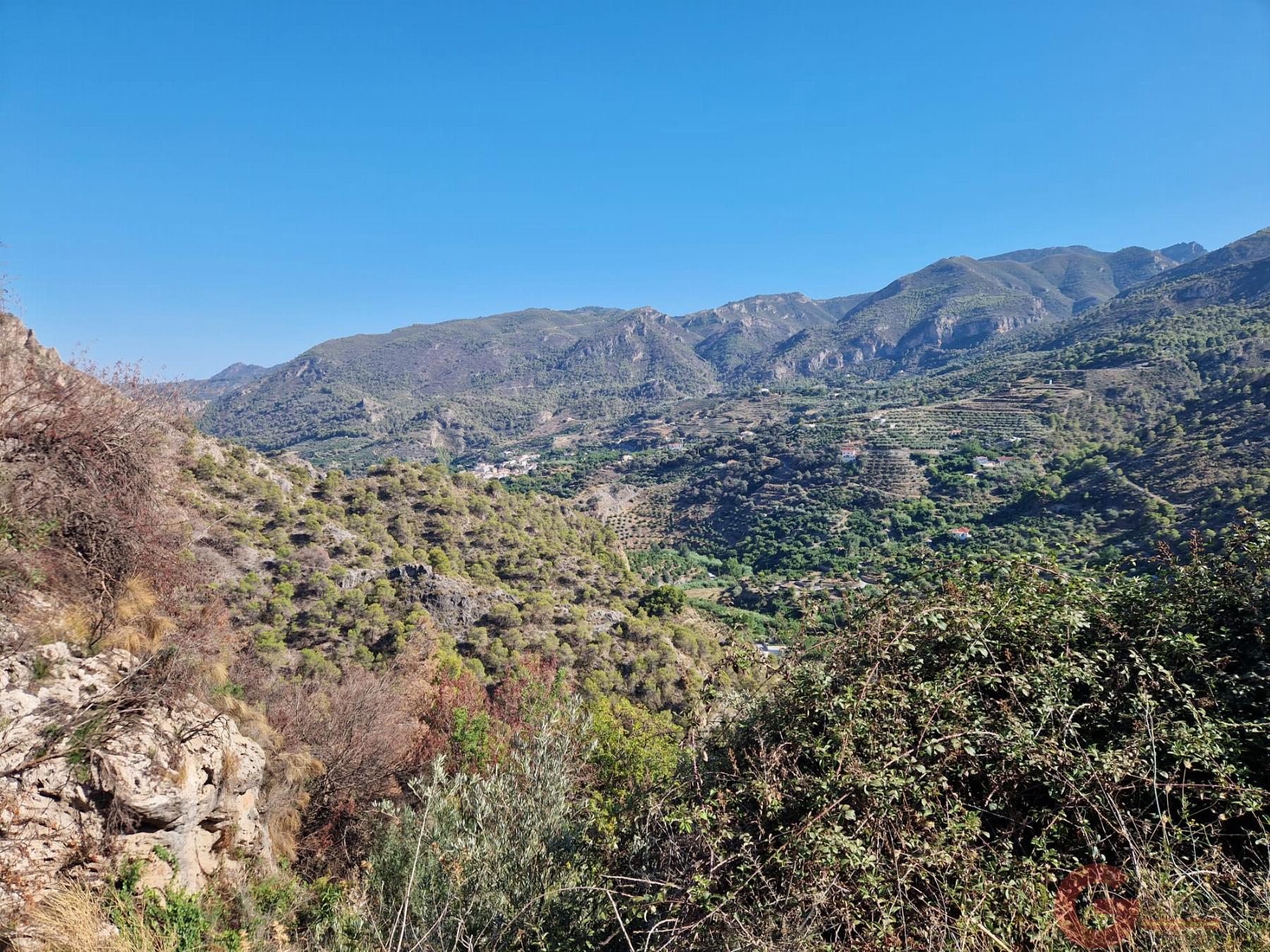 Venta de finca rústica en Guájar Alto Venta de finca rústica en Guájar Alto