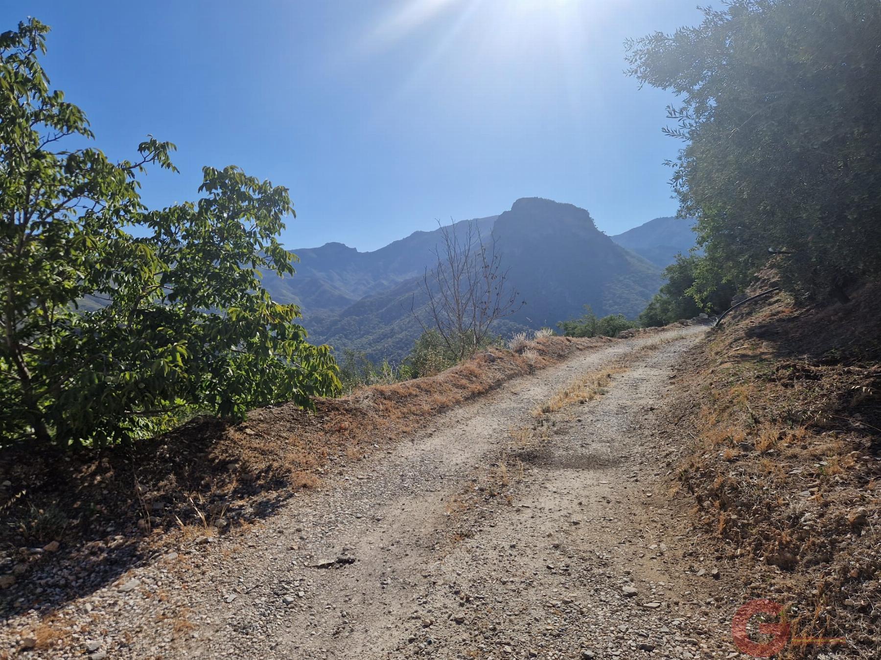 Venta de finca rústica en Guájar Alto Venta de finca rústica en Guájar Alto