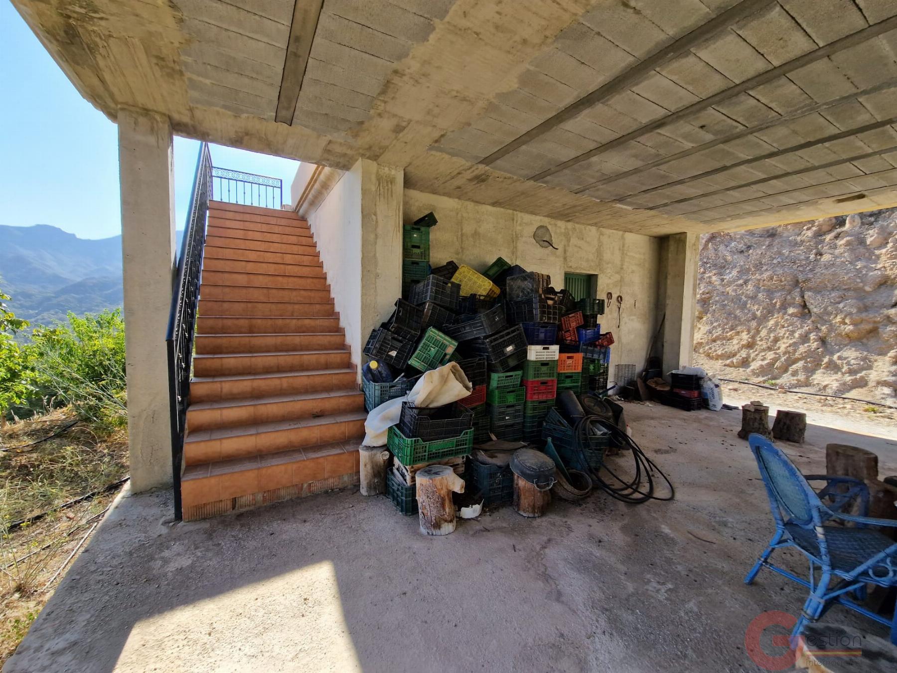 Venta de finca rústica en Guájar Alto Venta de finca rústica en Guájar Alto