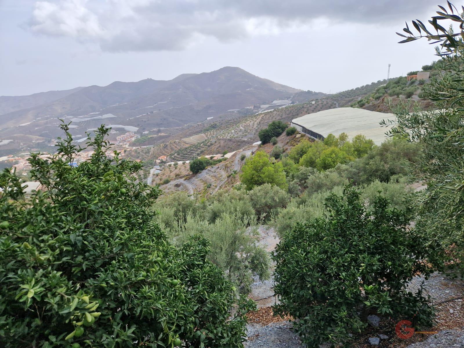 For sale of rural property in Itrabo