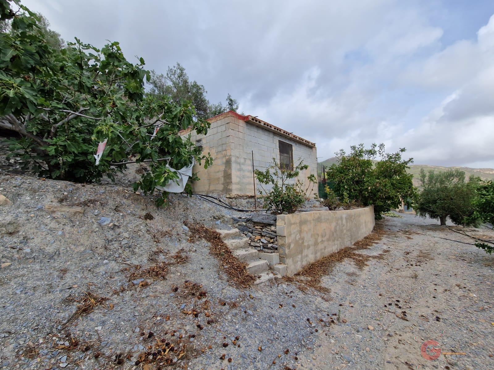 For sale of rural property in Itrabo