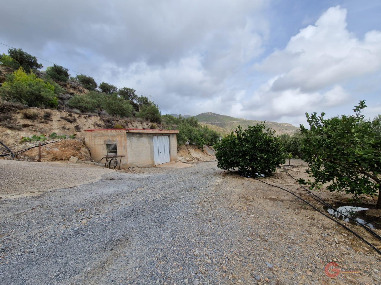 For sale of rural property in Itrabo