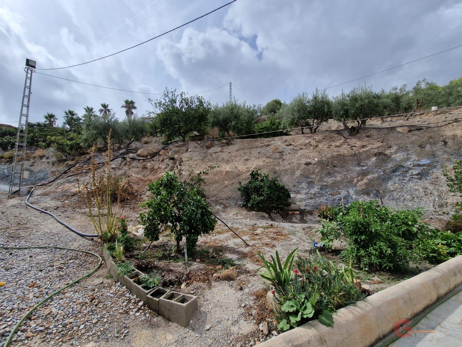 For sale of rural property in Itrabo