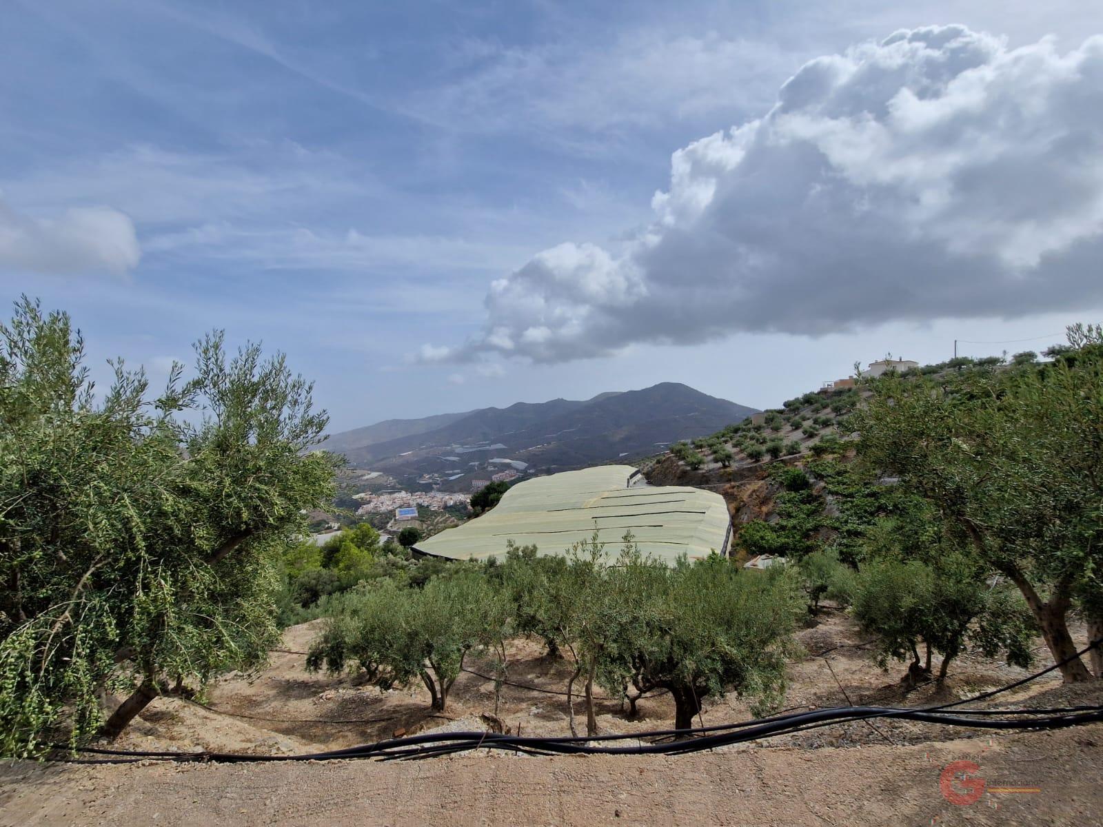 For sale of rural property in Itrabo