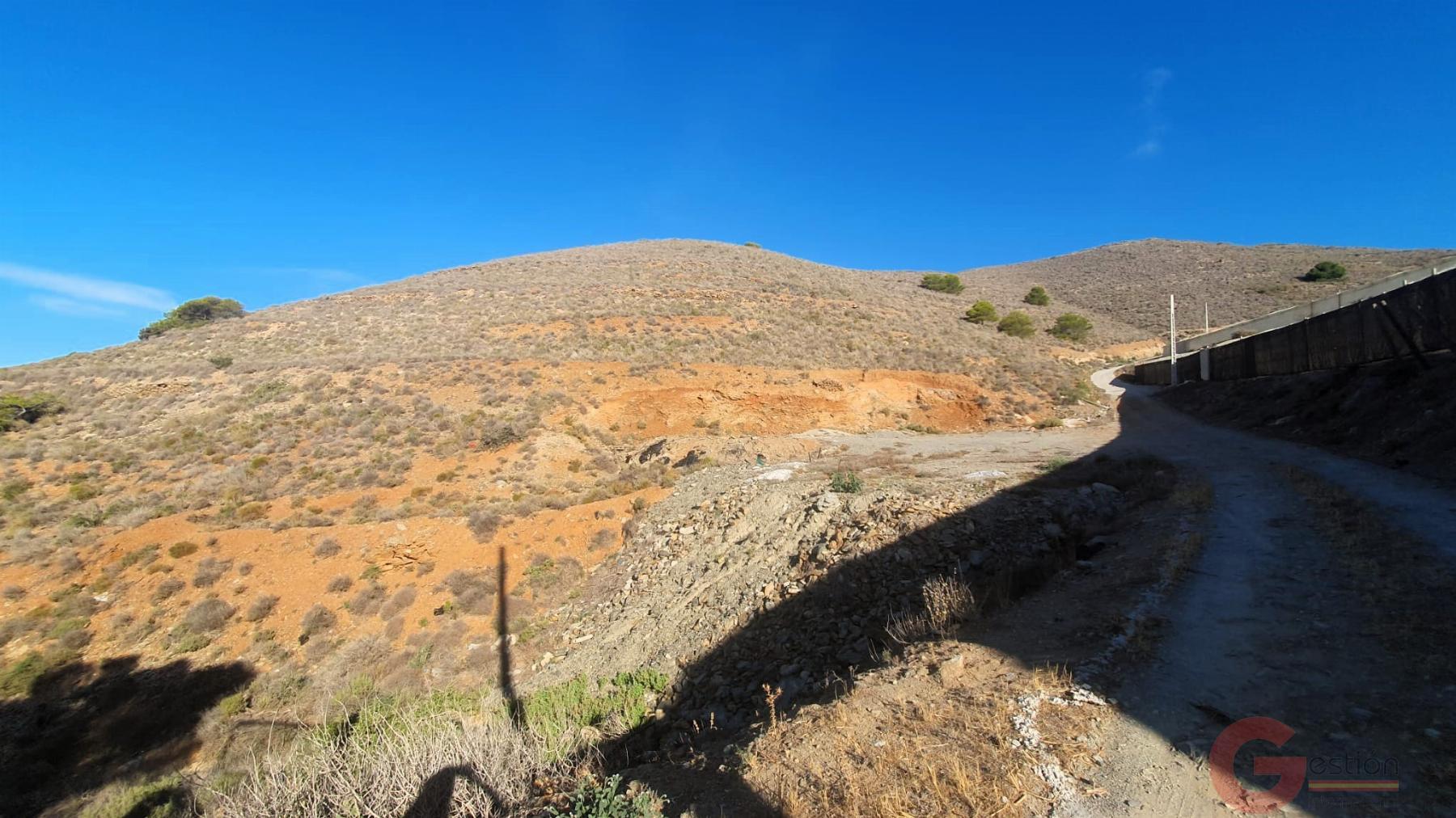 Venta de terreno en Torrenueva Venta de terreno en Torrenueva