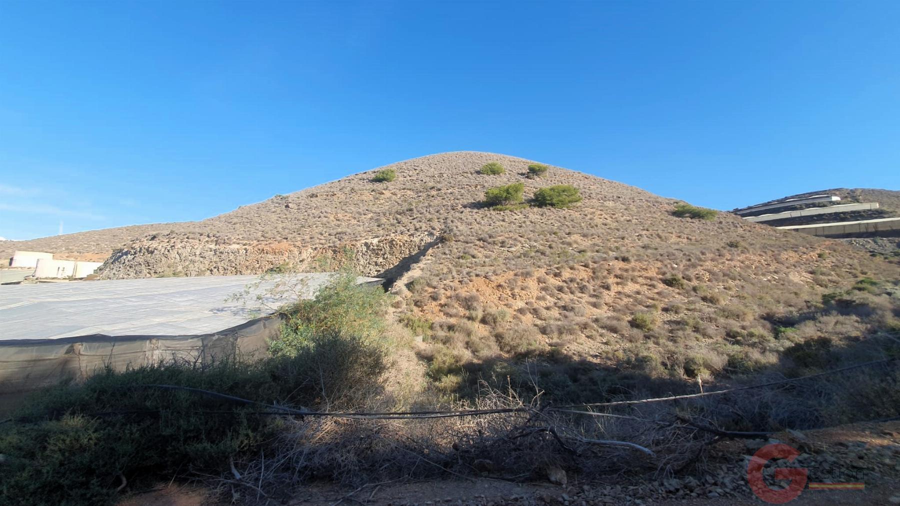 Venta de terreno en Torrenueva Venta de terreno en Torrenueva