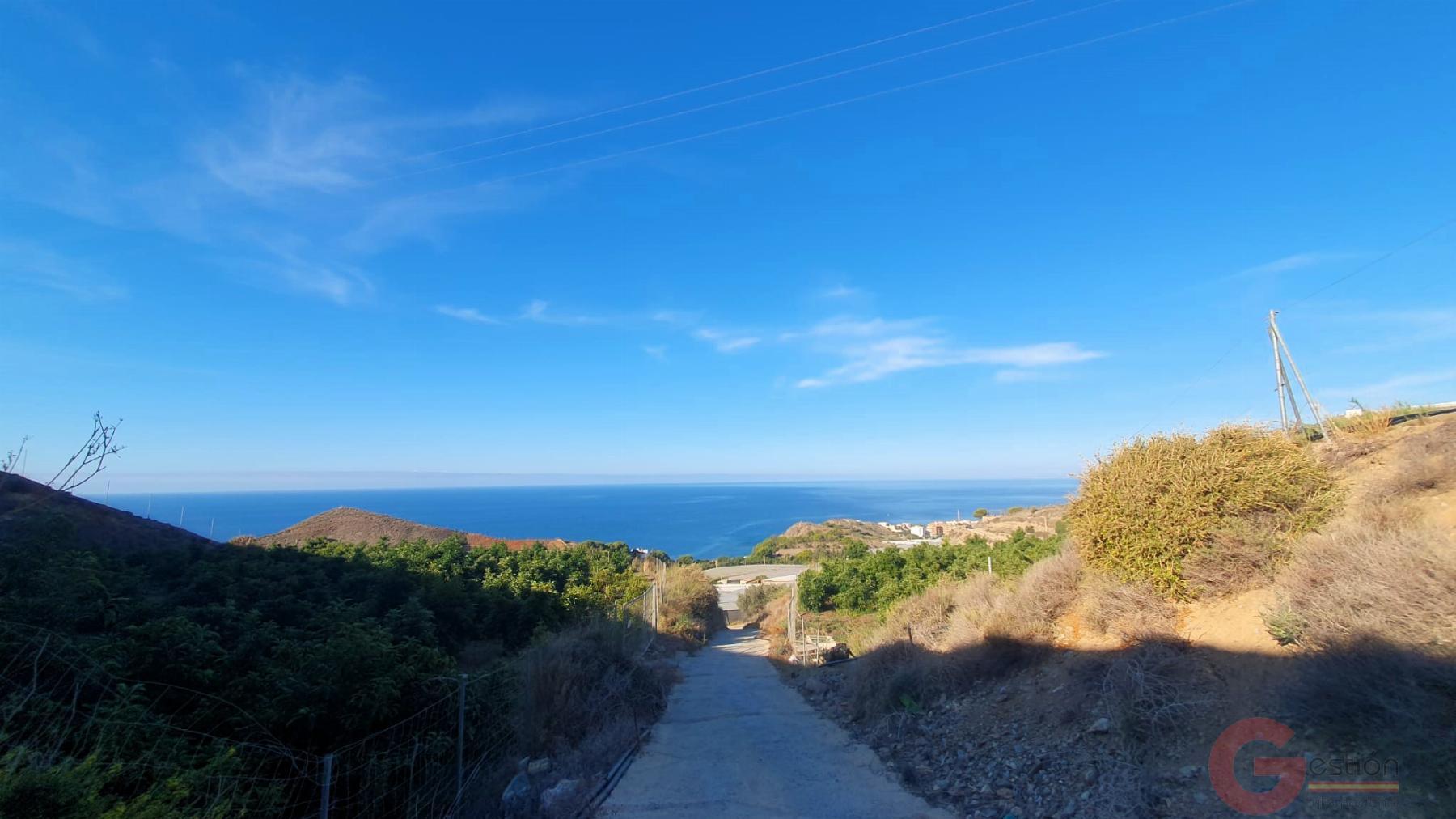 Venta de terreno en Torrenueva Venta de terreno en Torrenueva