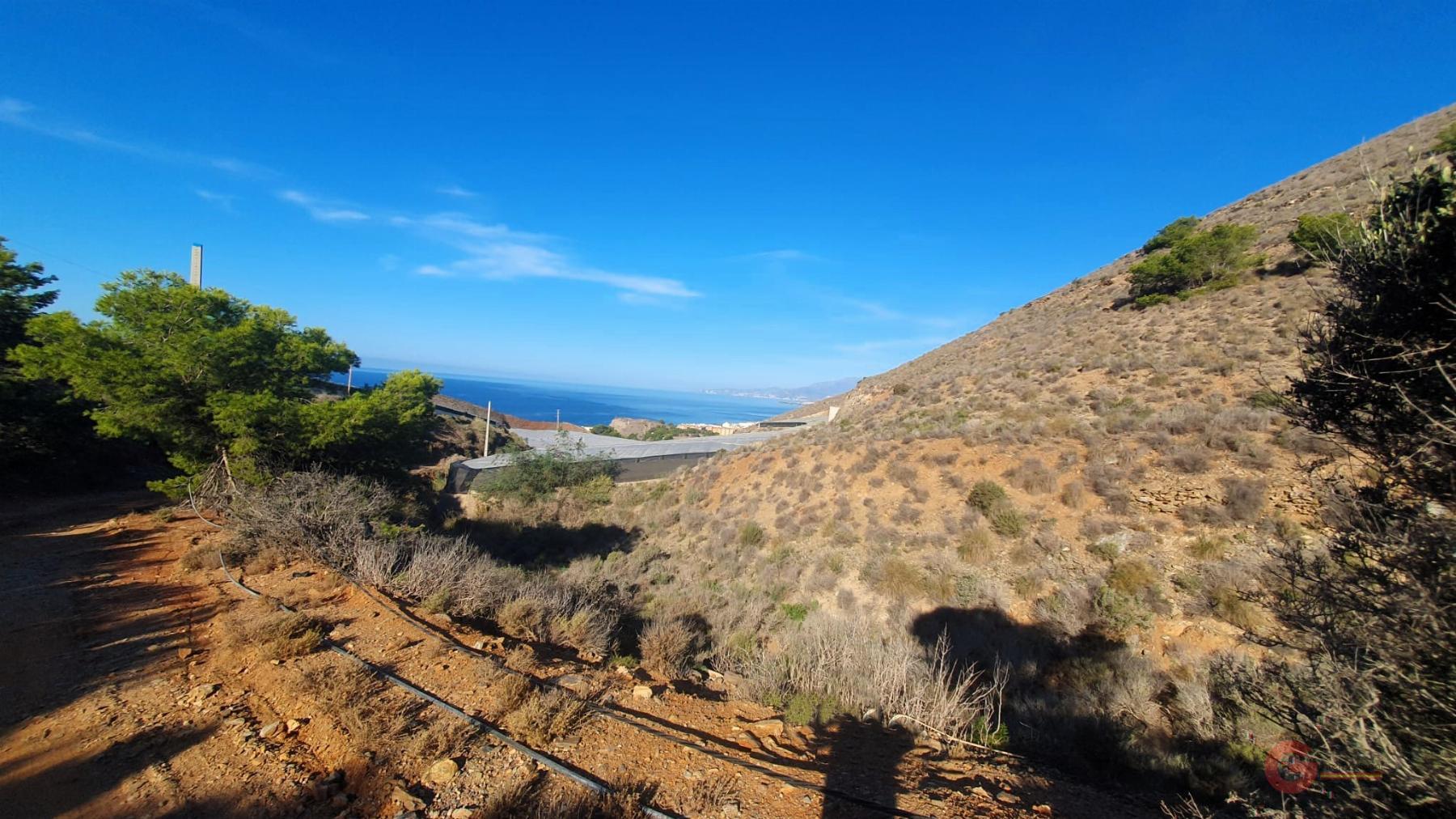 Venta de terreno en Torrenueva