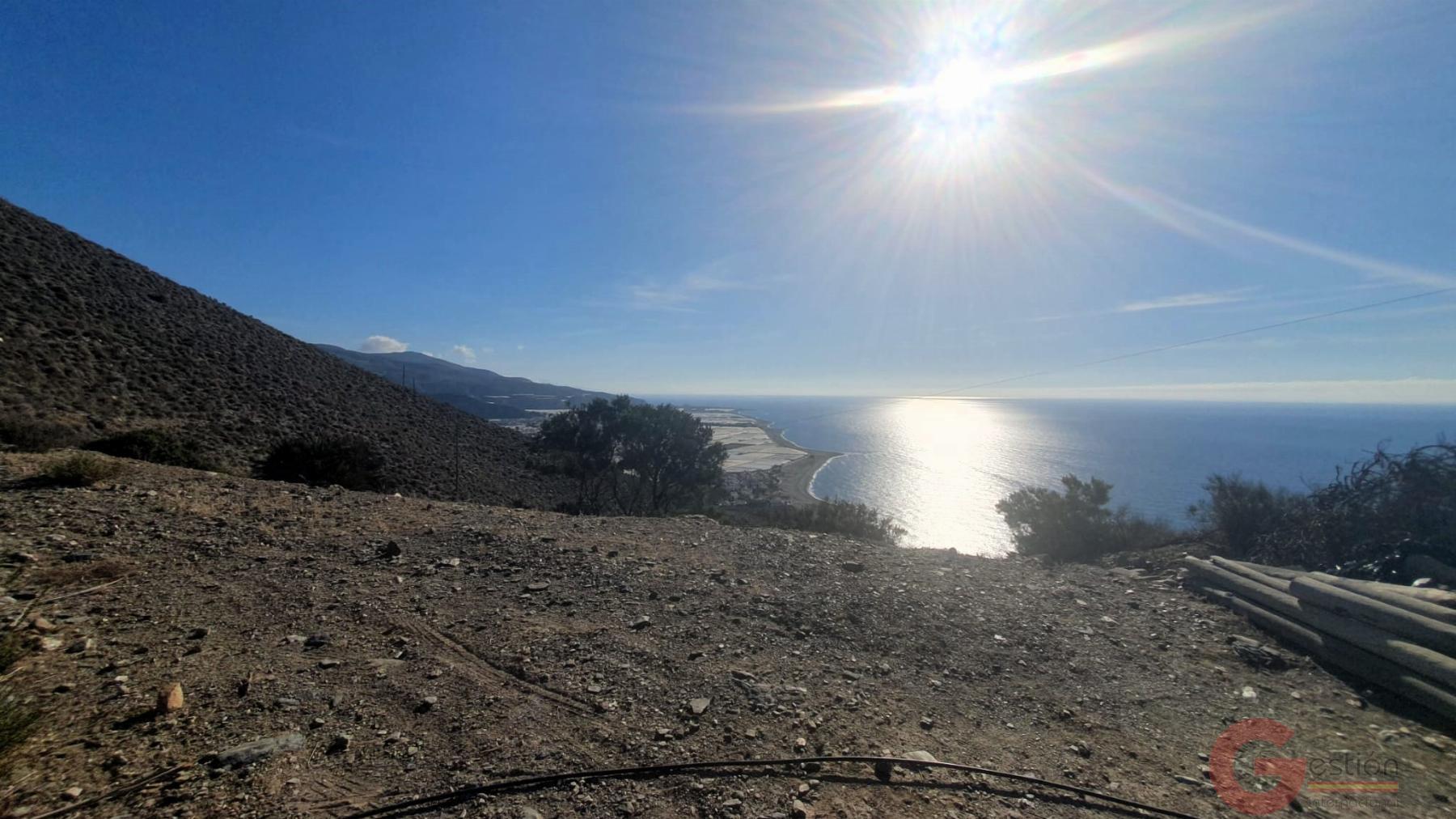 Venta de terreno en Torrenueva Venta de terreno en Torrenueva