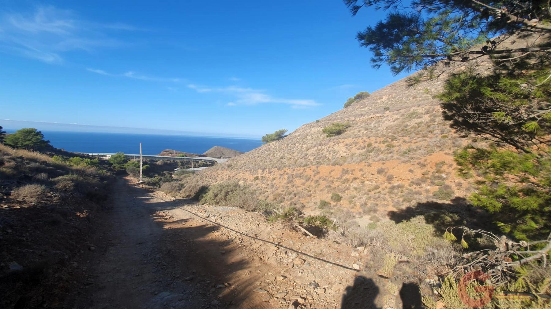 Venta de terreno en Torrenueva Venta de terreno en Torrenueva