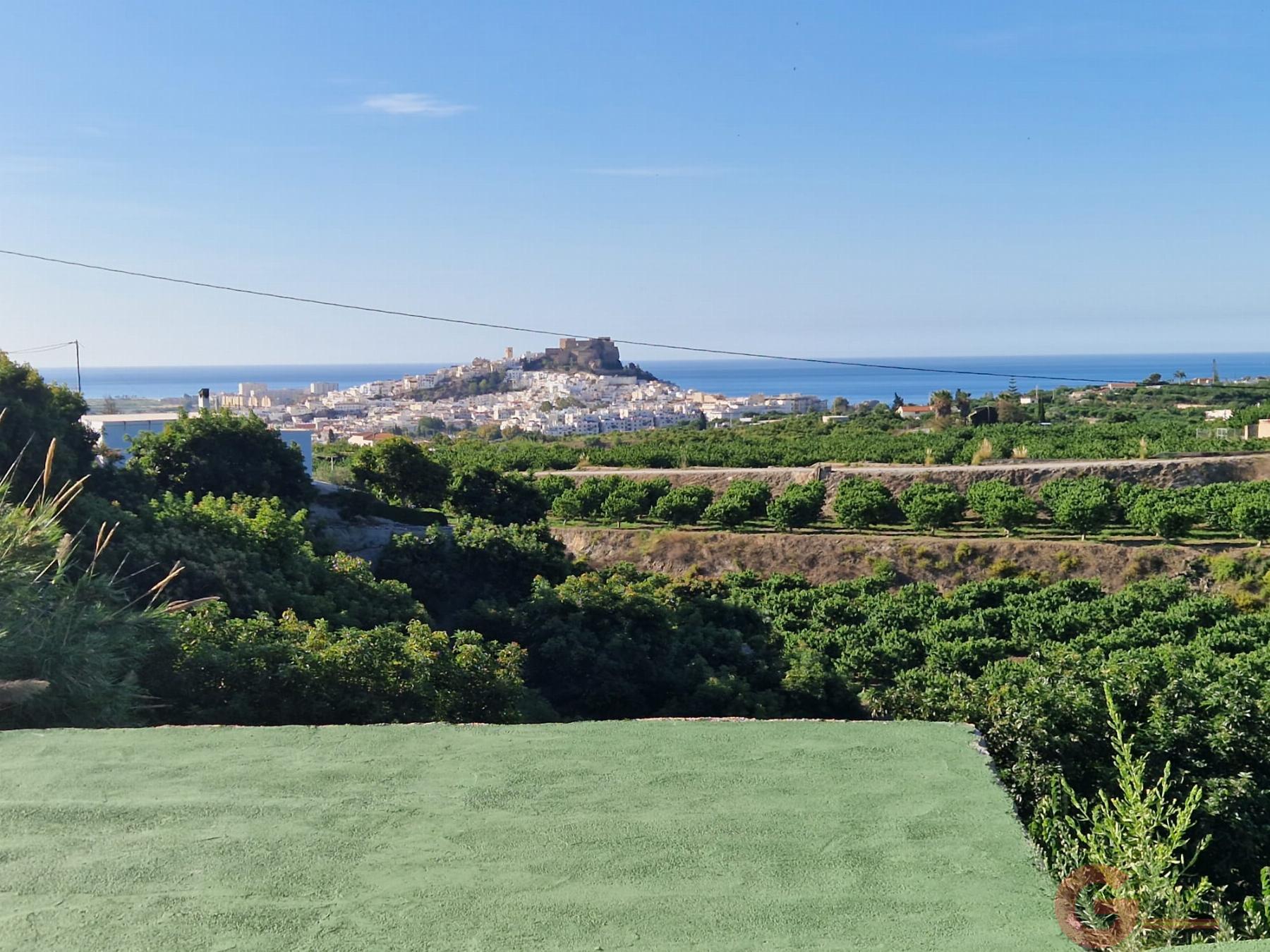 Venta de finca rústica en Salobreña Venta de finca rústica en Salobreña