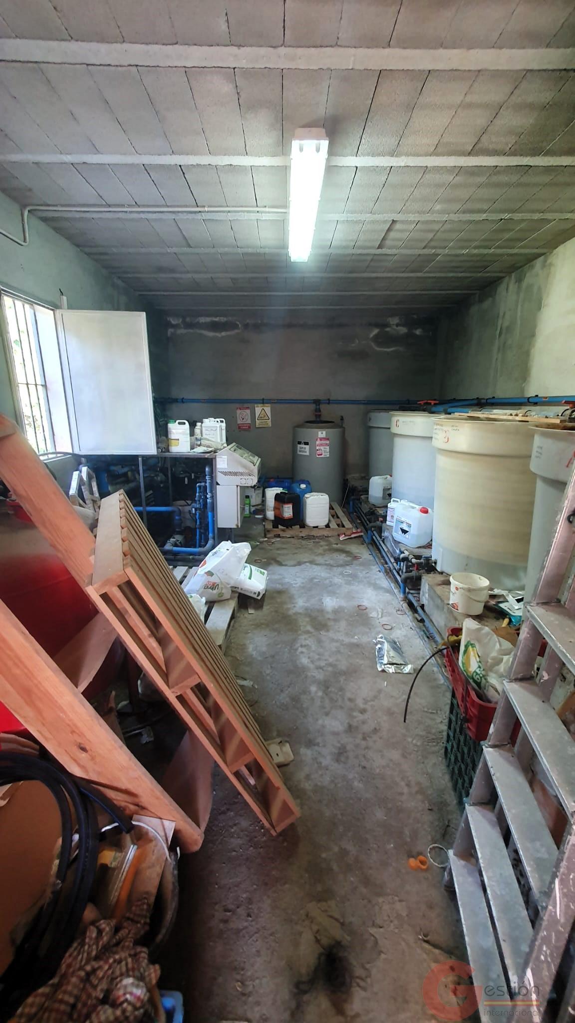 Venta de finca rústica en Vélez de Benaudalla Venta de finca rústica en Vélez de Benaudalla