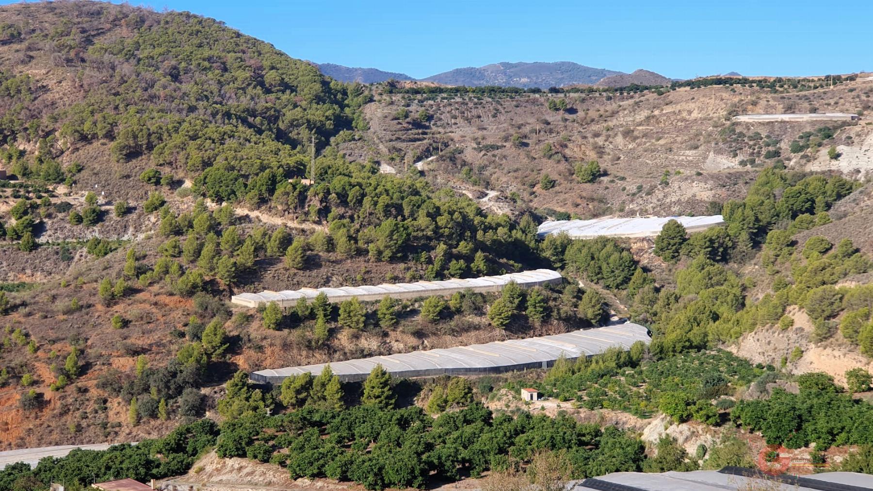 For sale of rural property in Vélez de Benaudalla