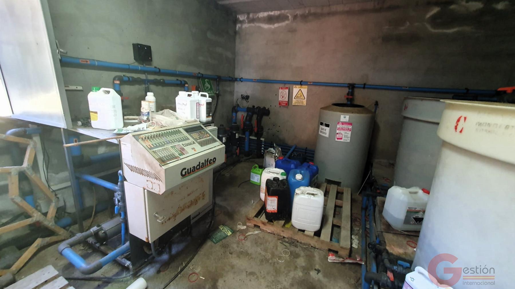 Venta de finca rústica en Vélez de Benaudalla Venta de finca rústica en Vélez de Benaudalla