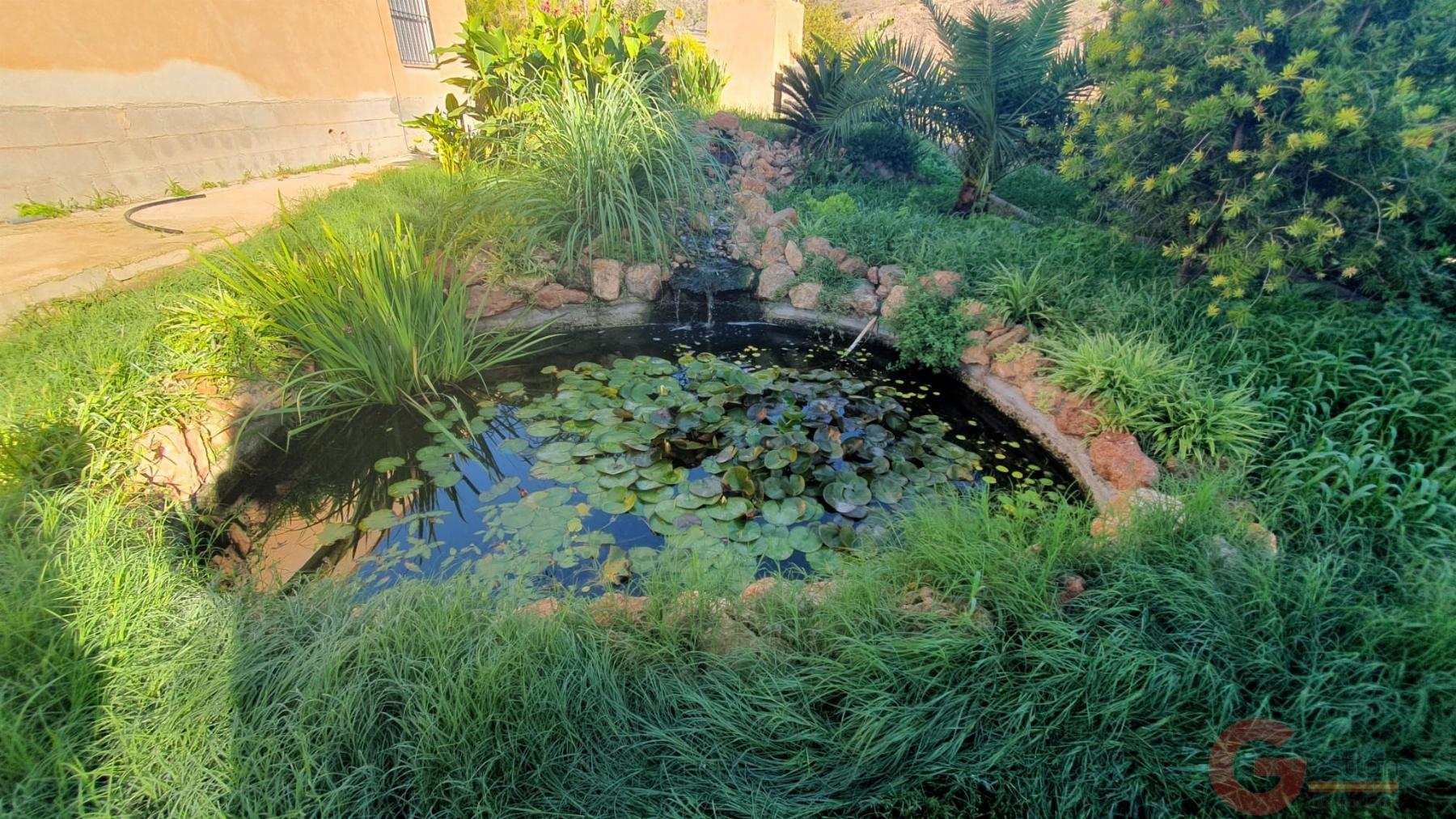 Venta de finca rústica en Vélez de Benaudalla