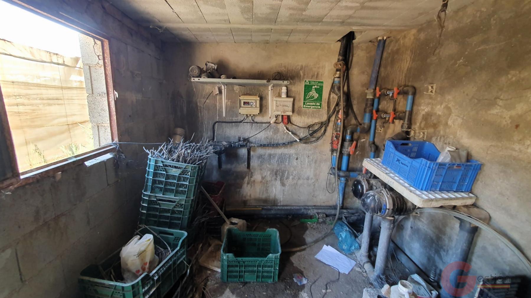 Venta de finca rústica en Vélez de Benaudalla