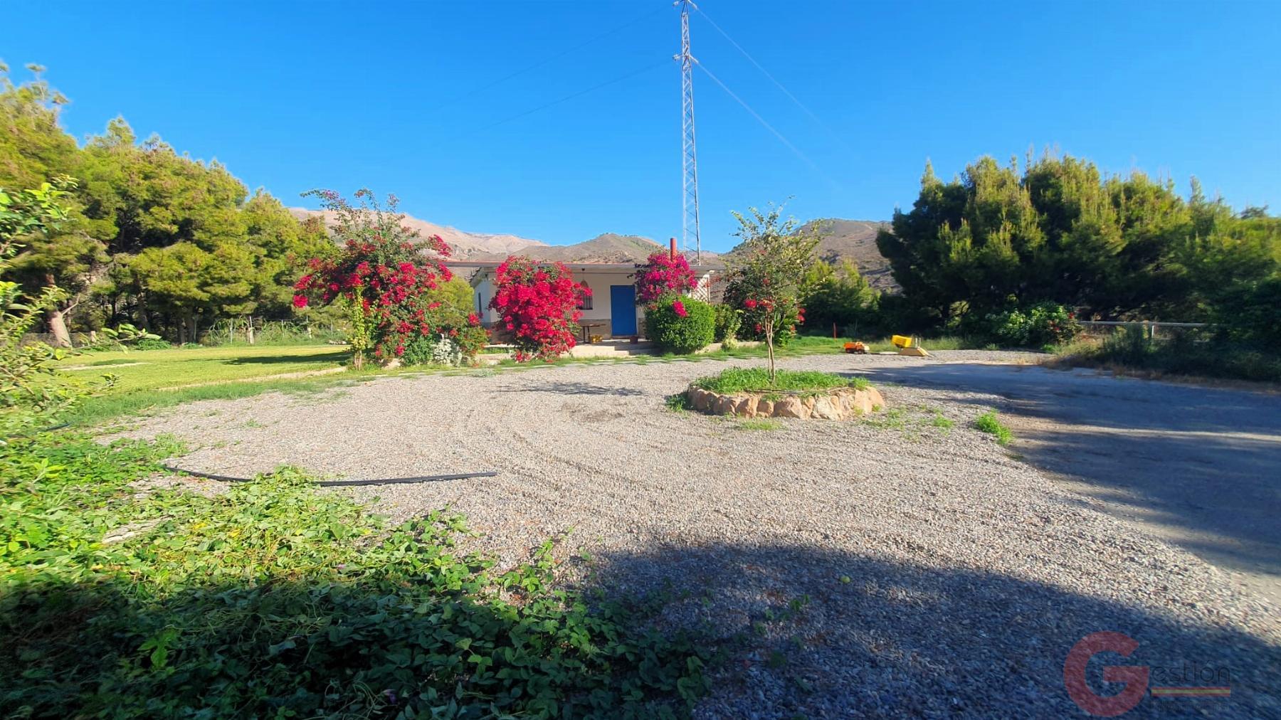 Venta de finca rústica en Vélez de Benaudalla