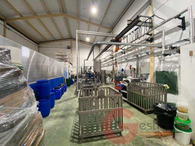 Venta de edificio en Noalejo Venta de edificio en Noalejo