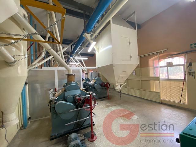 Venta de edificio en Noalejo Venta de edificio en Noalejo