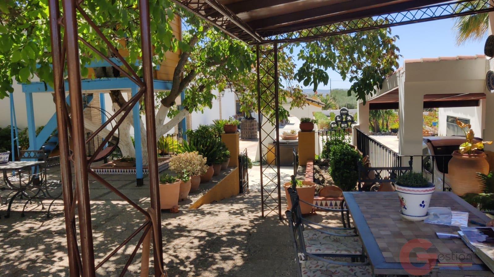 Venta de chalet en Montilla Venta de chalet en Montilla