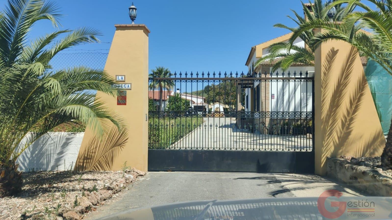 Venta de chalet en Montilla Venta de chalet en Montilla