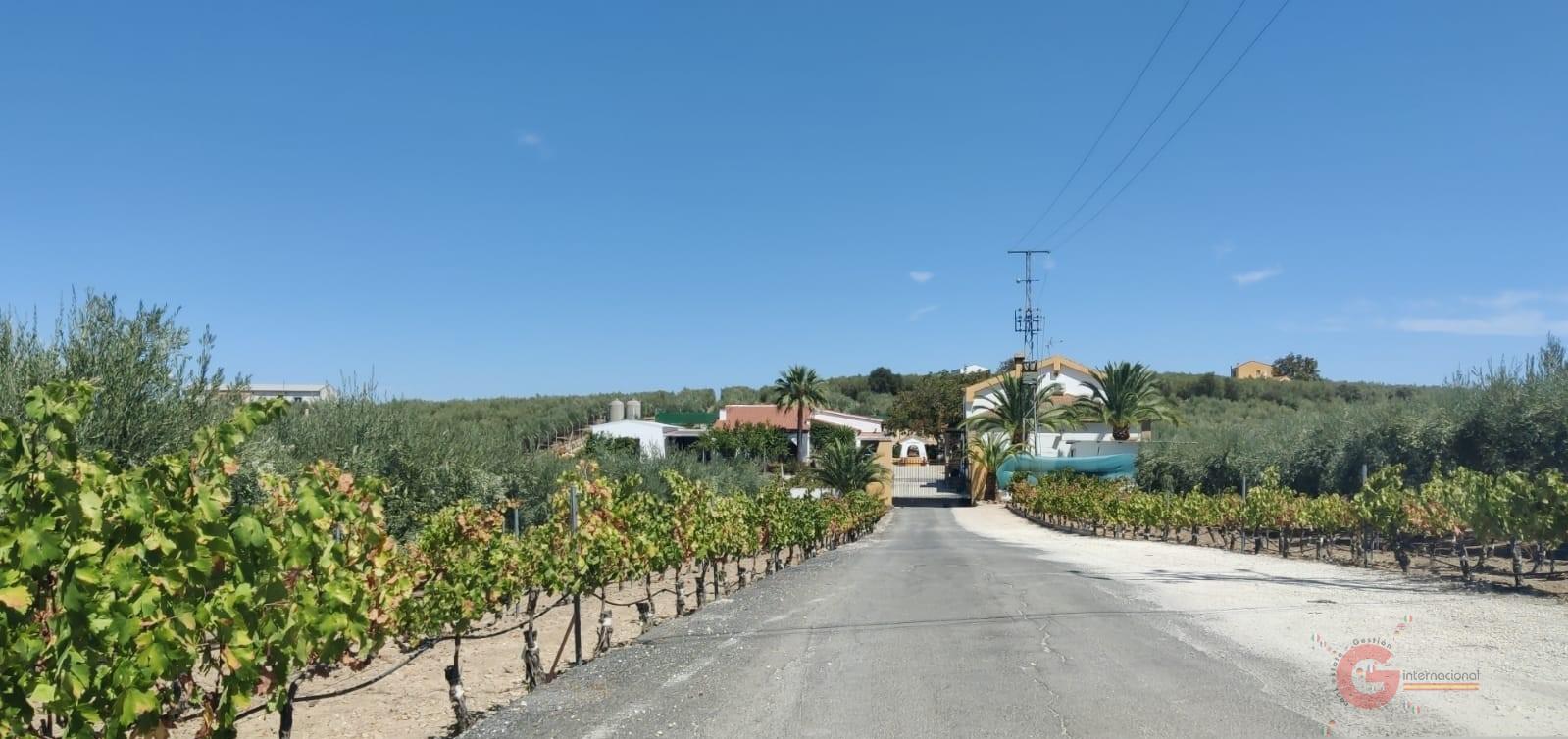 Venta de chalet en Montilla