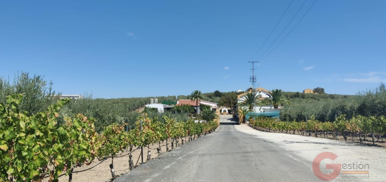 Venta de chalet en Montilla Venta de chalet en Montilla