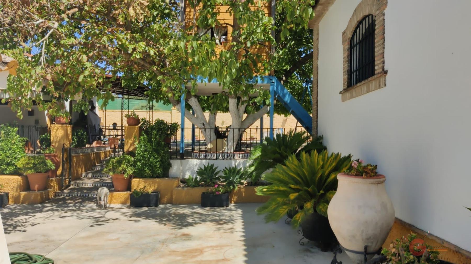 Venta de chalet en Montilla