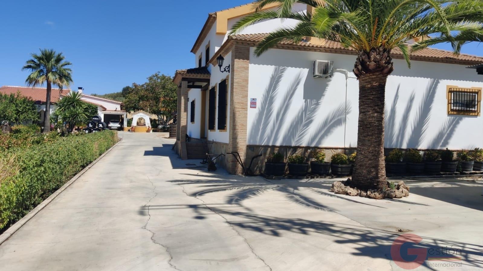 Venta de chalet en Montilla Venta de chalet en Montilla