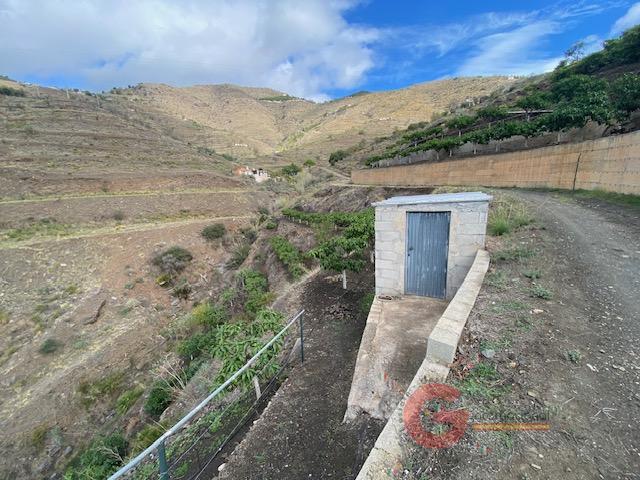 Vente de propriété rurale dans Almuñécar