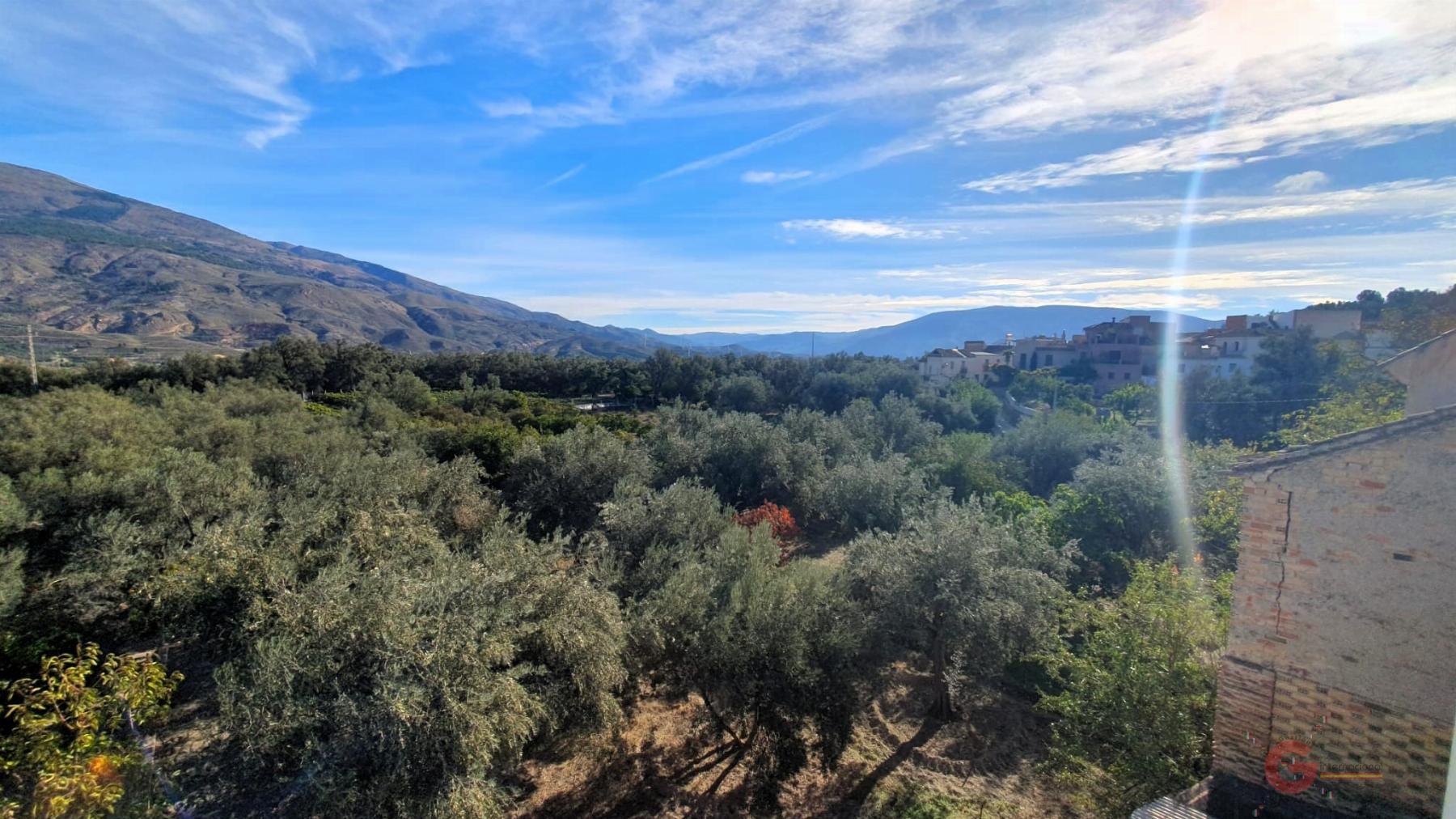 Vente de maison dans Píñar