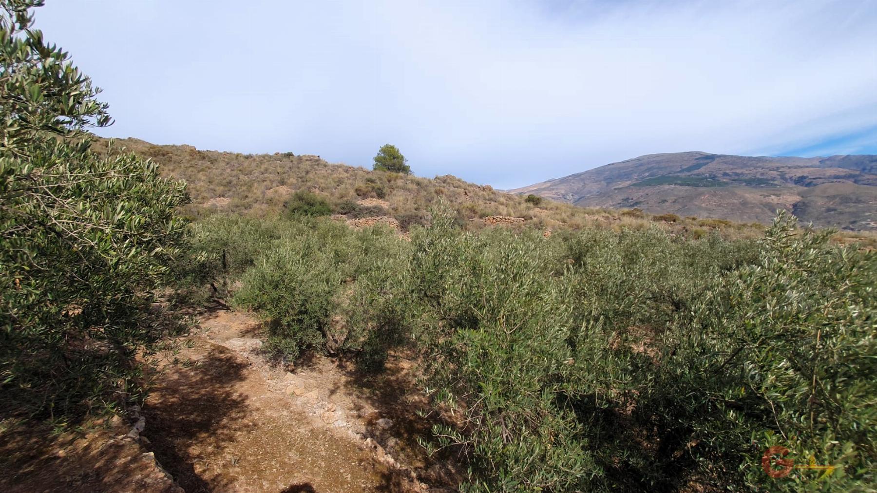 Venta de terreno en Píñar