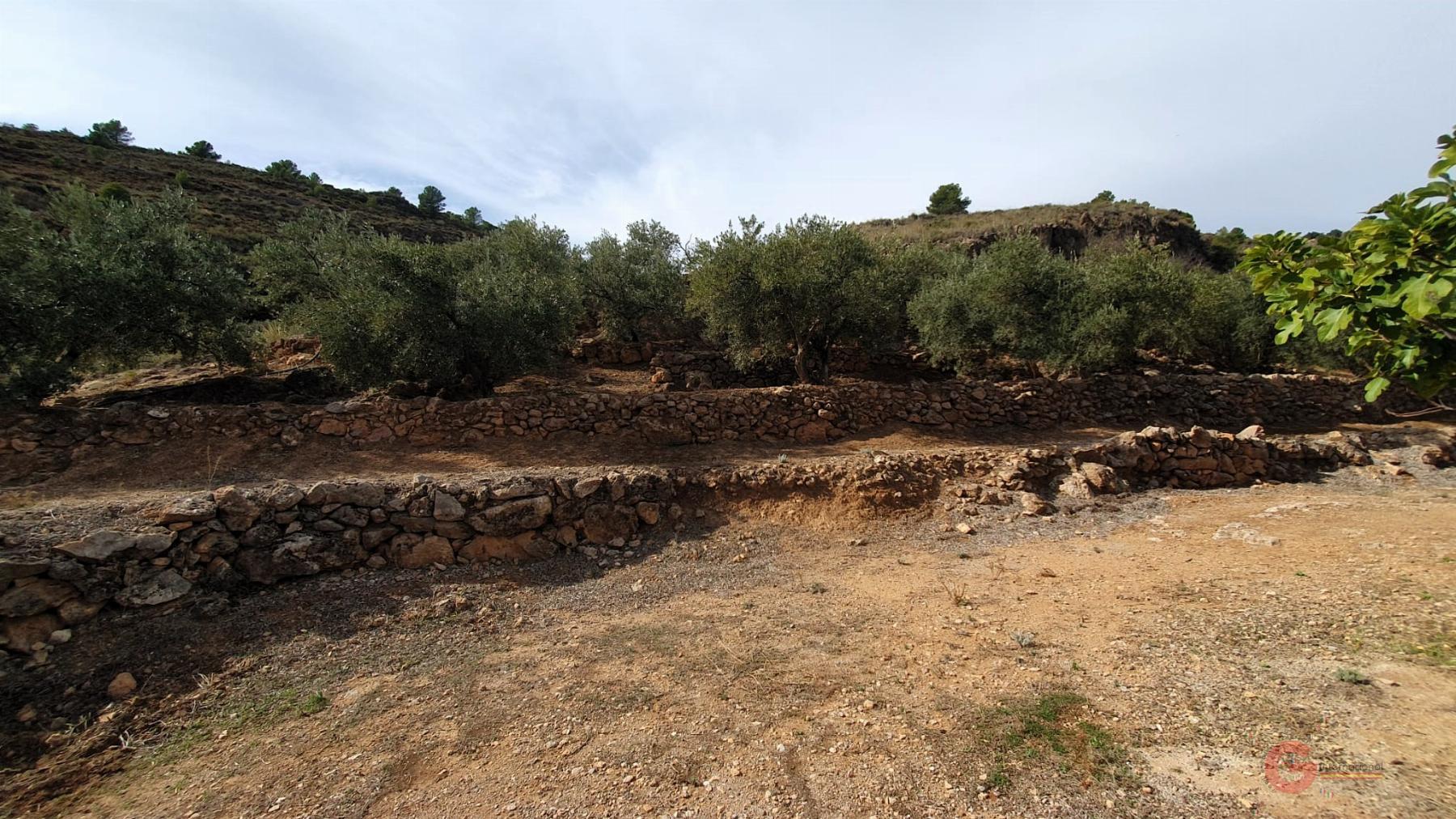 Venta de terreno en Píñar