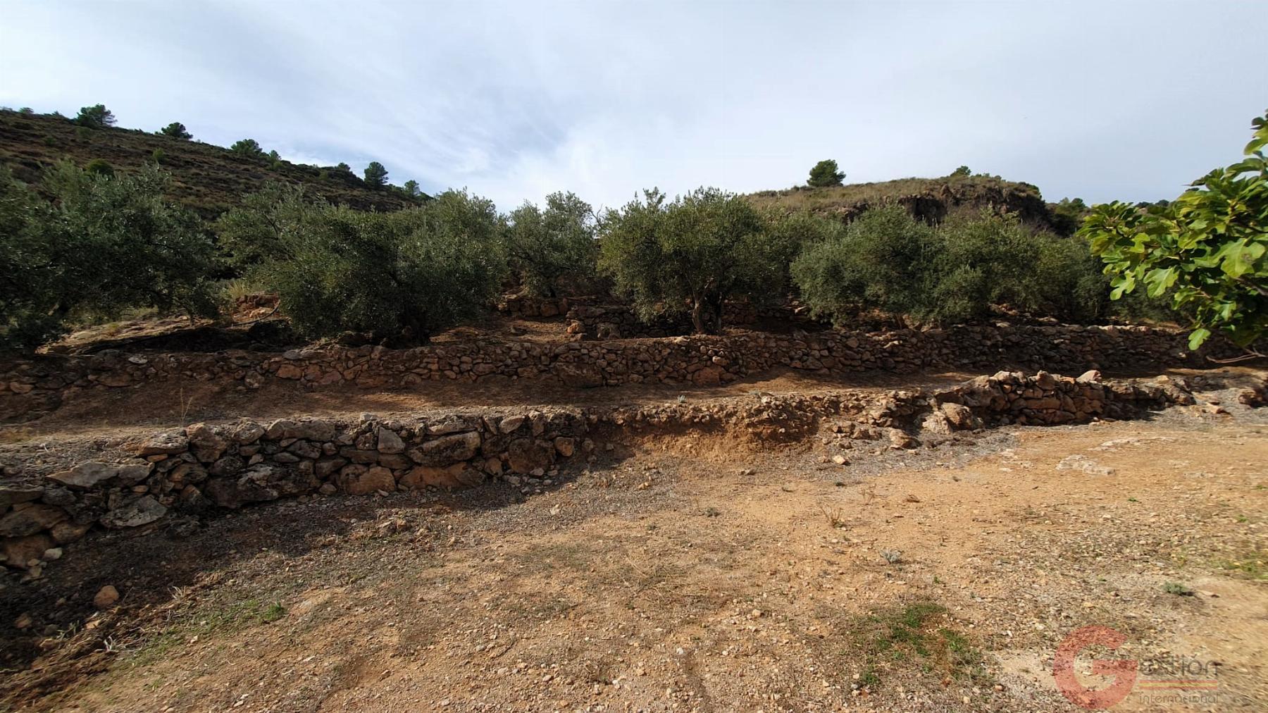 Venta de terreno en Píñar Venta de terreno en Píñar