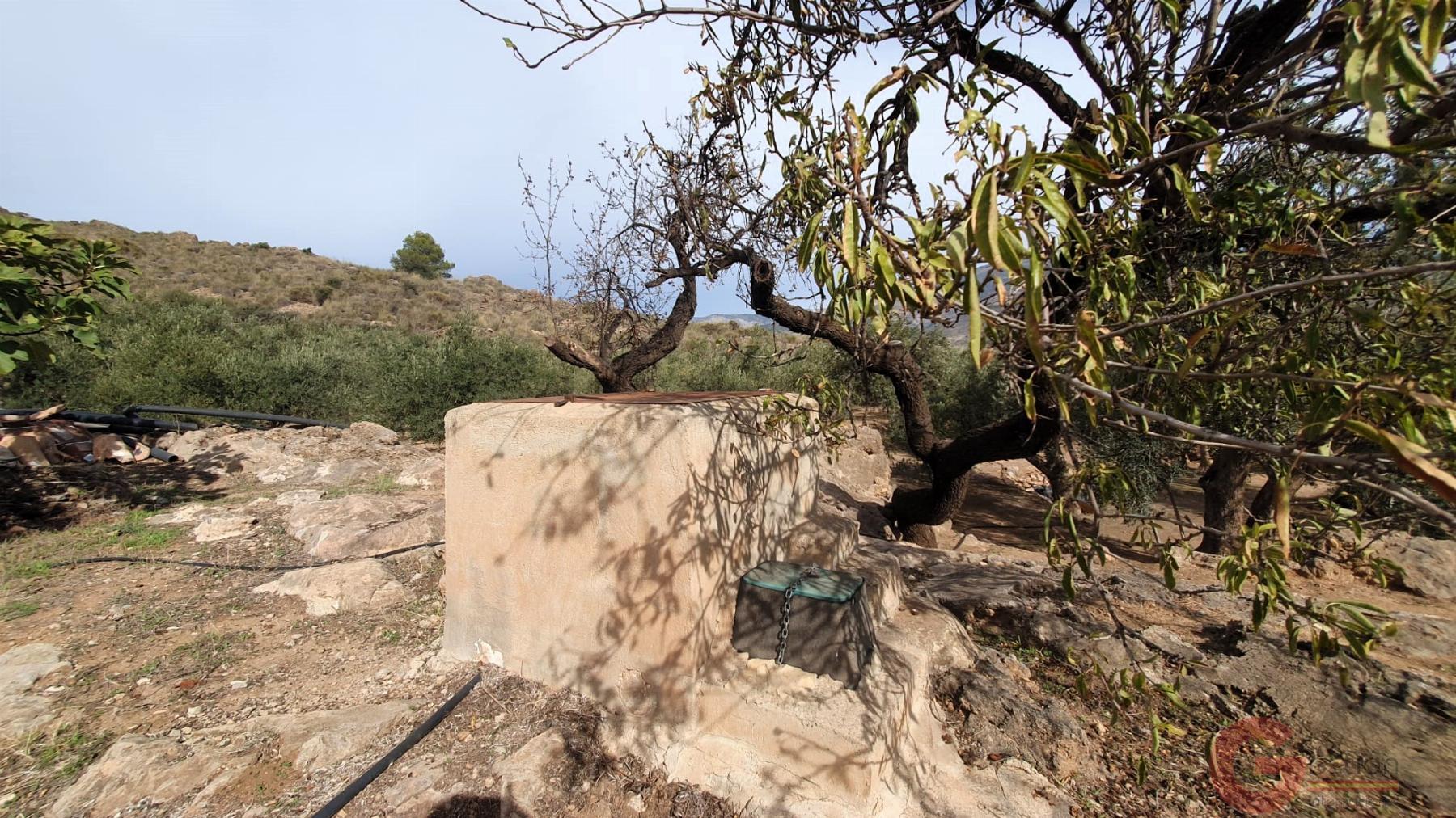 Venta de terreno en Píñar Venta de terreno en Píñar