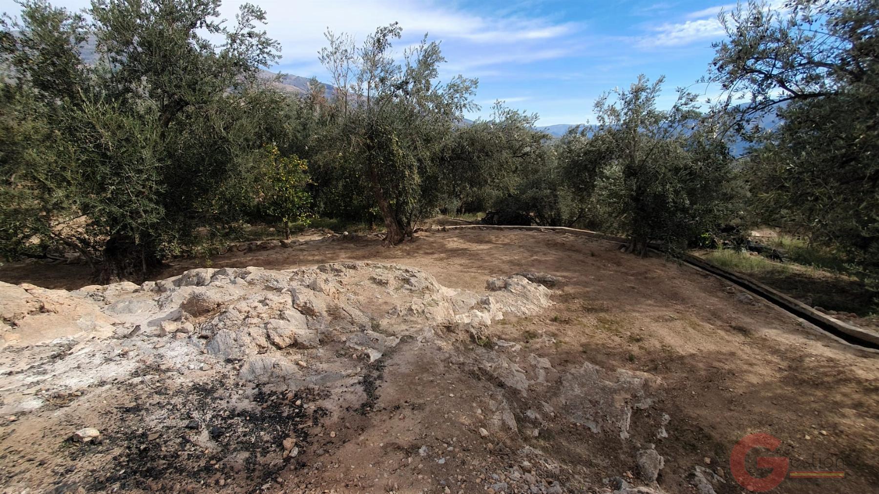 Venta de terreno en Píñar Venta de terreno en Píñar