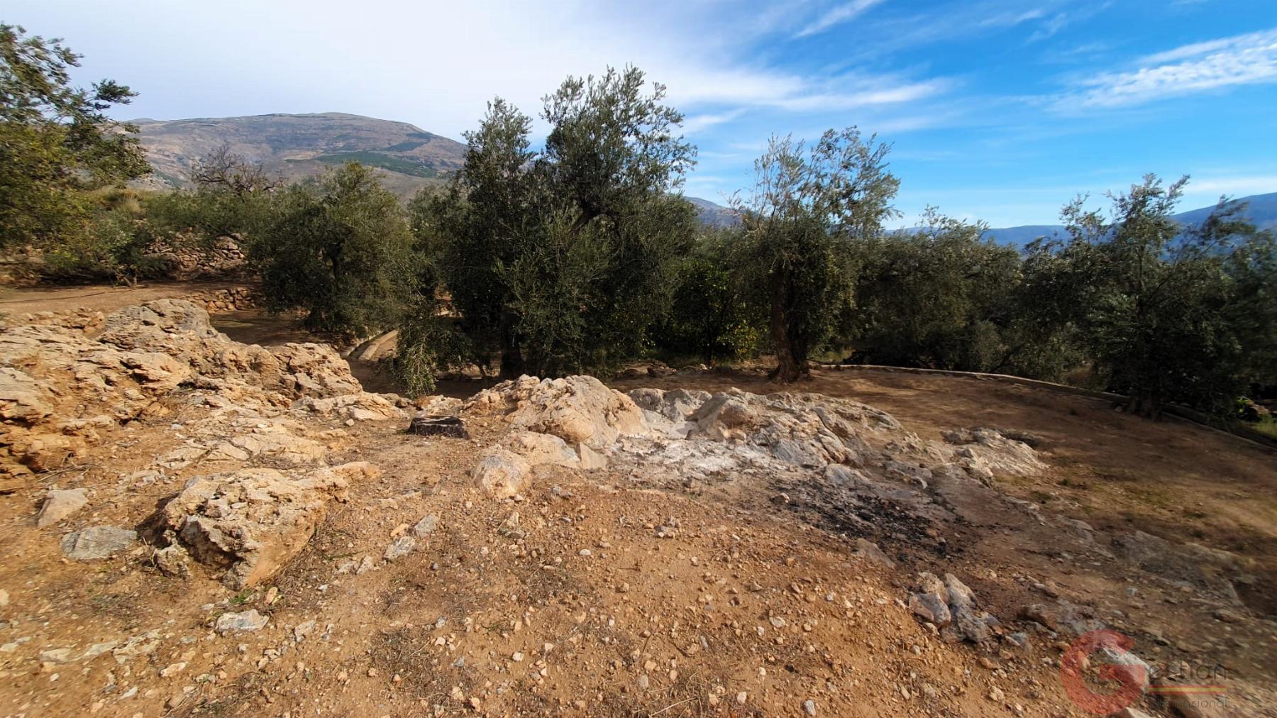 Venta de terreno en Píñar Venta de terreno en Píñar