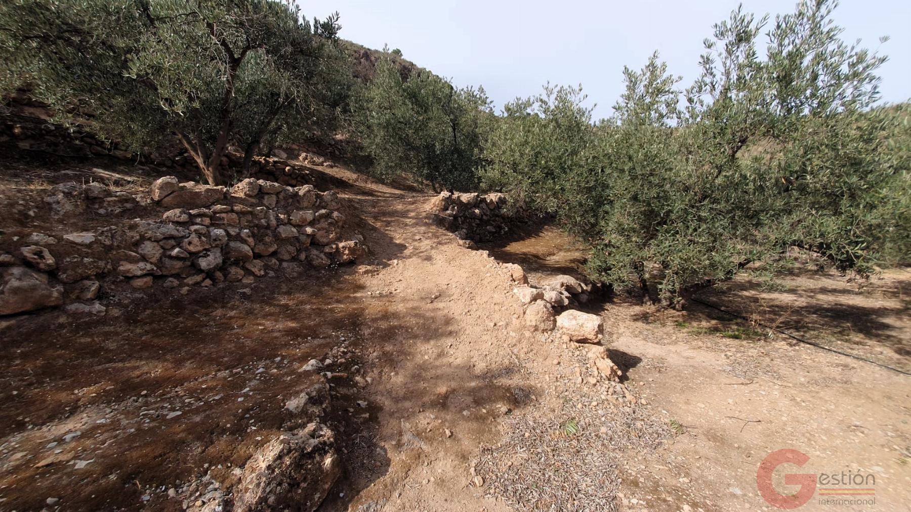 Venta de terreno en Píñar Venta de terreno en Píñar